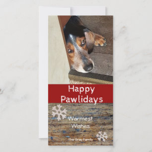 Lycklig Pawlidays Pet Photo jul Julkort