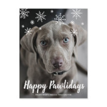 Lycklig Pawlidays Snöflingor Hund Fotojul