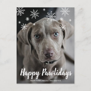 Lycklig Pawlidays Snöflingor Hund Fotojul Helg Vykort