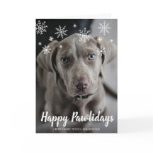 Lycklig Pawlidays Snöflingor Hund Fotojul