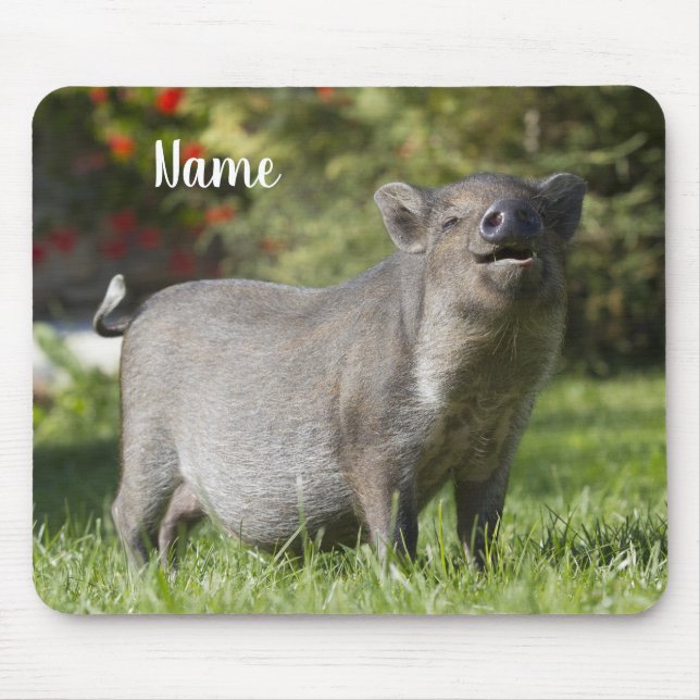 Lycklig Pet Mini Pot Bely Gris Musmatta (Framsidan)