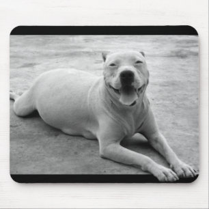 Lycklig pitbullmousepad musmatta