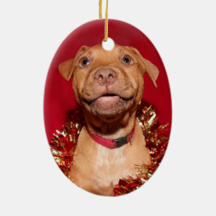 Lycklig pitbullvalpjul julgransprydnad keramik