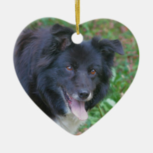 Lycklig prydnad för hund för ansiktegränsCollie Julgransprydnad Keramik