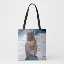 Lycklig Quokka på stranden Australien