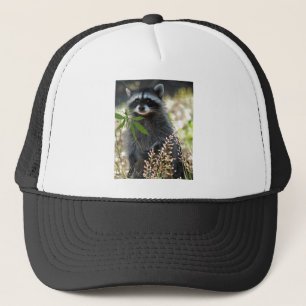 LYCKLIG RACCOON KEPS