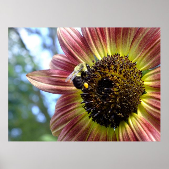 Lycklig Red Solros N Bee Poster (Framsidan)