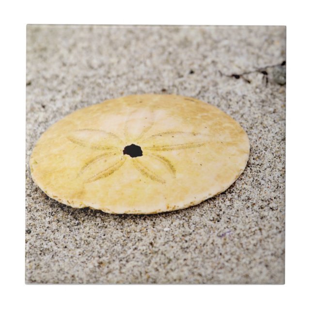 Lycklig Sanddollar Kakelplatta (Framsidan)