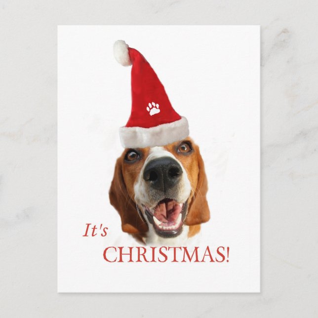Lycklig Santa Hund Helg Vykort (Framsida)