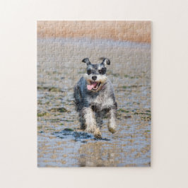 Lycklig Schnauzer som kör på Beach Jigszons Puzzle Pussel