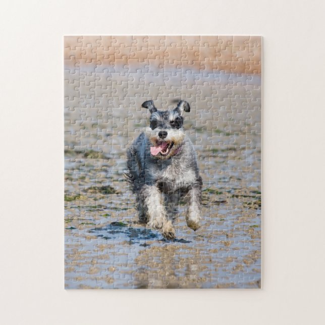 Lycklig Schnauzer som kör på Beach Jigszons Puzzle Pussel (Vertikal)