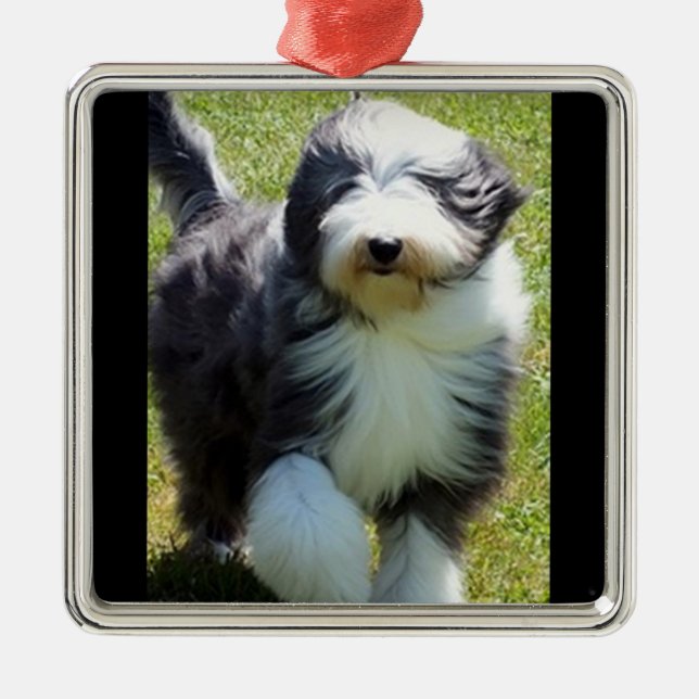 LYCKLIG SHEEPDOG CHRISTMAS ORNAMENT (Framsidan)