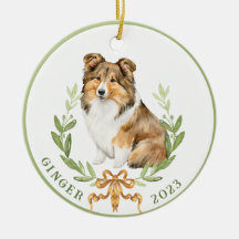 Lycklig Sheltie in Laurel Wandan