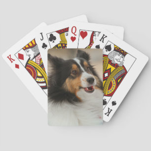 Lycklig Shelty Casinokort
