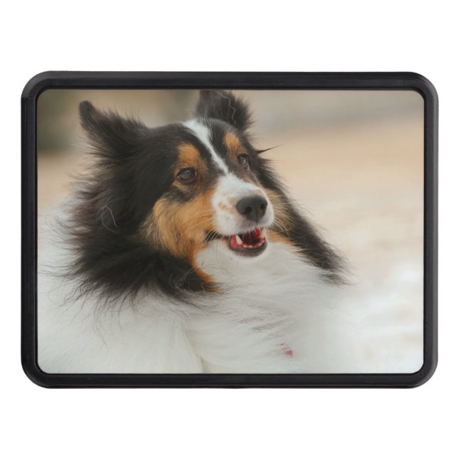 Lycklig Shelty Luft Freshener Dragkroksskydd (Framsidan)