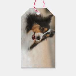 Lycklig Shelty Presentetikett