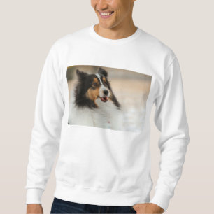 Lycklig Shelty Sweat Shirt Lång Ärmad Tröja