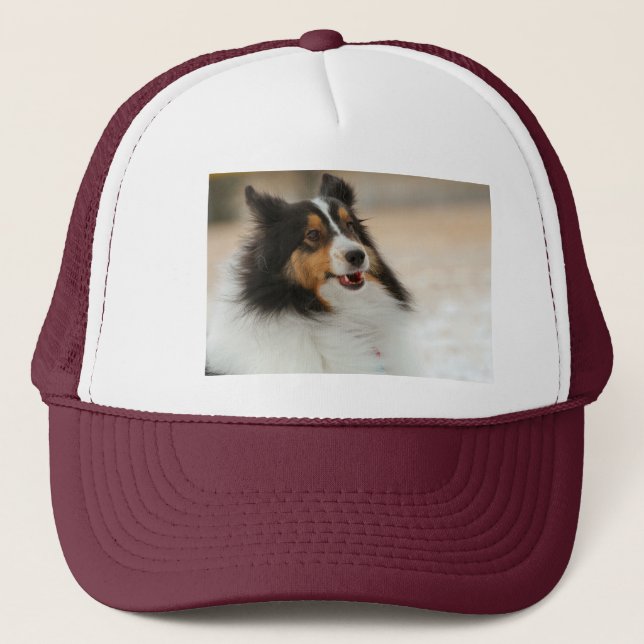 Lycklig Shelty T-Shirt Keps (Framsida)