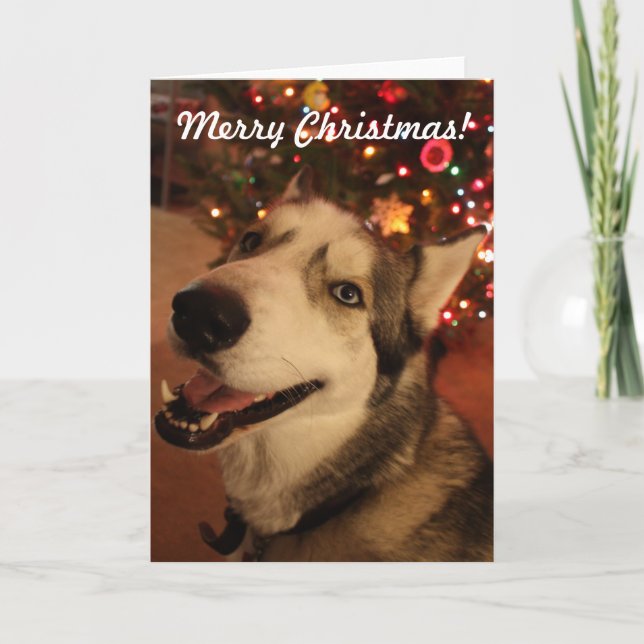 Lycklig siberian huskyjulkort helgkort (Framsida)