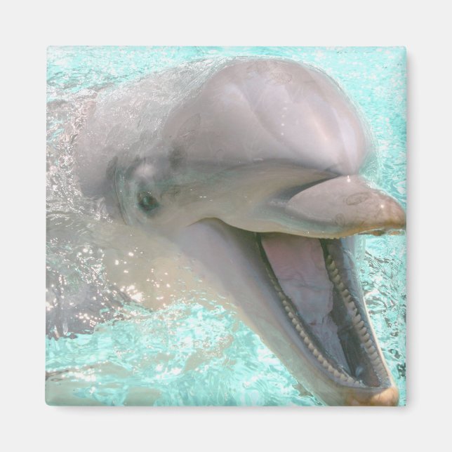 Lycklig Smiling Dolphin Magnet (Framsidan)
