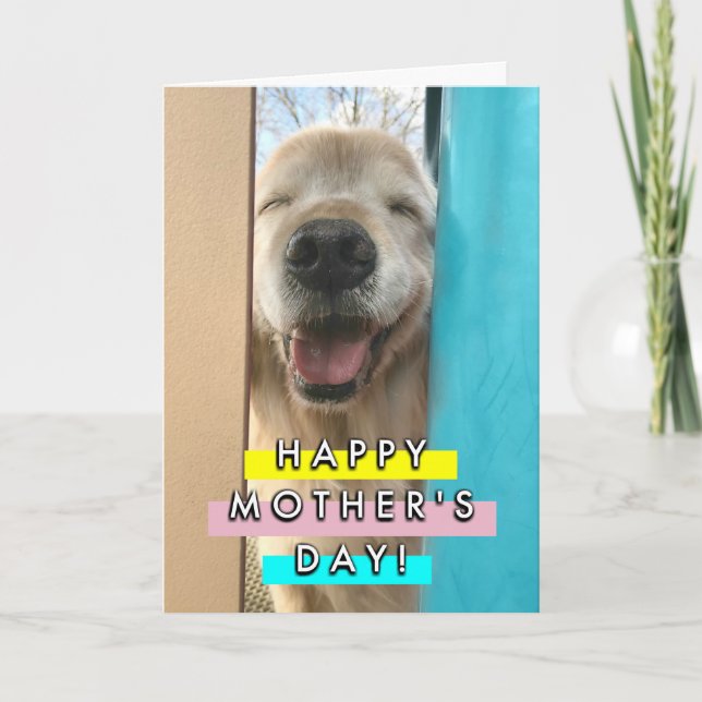 Lycklig Smiling Golden Retriever Hund Mors dag Kort (Framsida)