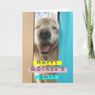 Lycklig Smiling Golden Retriever Hund Mors dag Kort