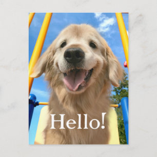 Lycklig Smiling Golden Retriever Vykort