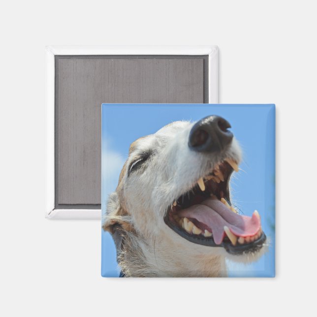 Lycklig Smiling Greyhound Ansikte Closeup Magnet (Front/Back)