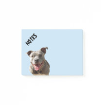 Lycklig Smiling Pitbull