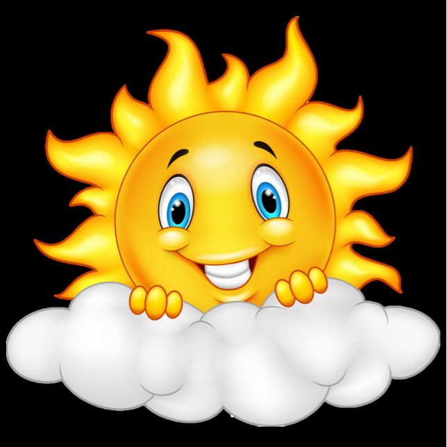Lycklig Sol T Shirt (Happy Sun T-Shirts!)