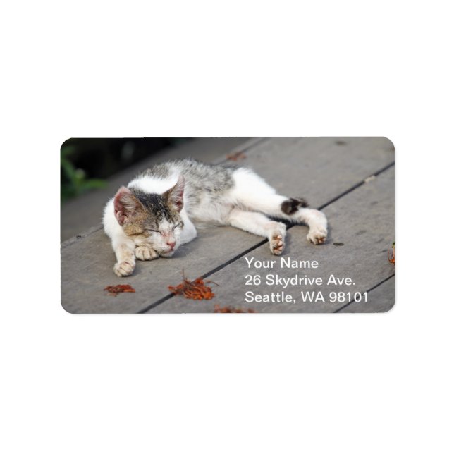 Lycklig Spipkatt Adressetikett (Framsidan)