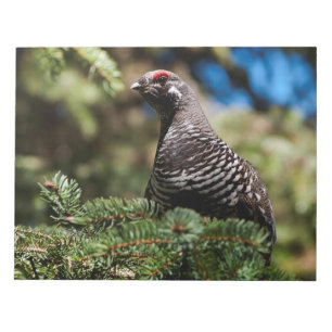 Lycklig Spruce Grouse Anteckningsblock