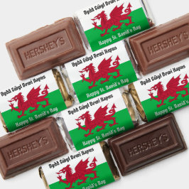 Lycklig St. David's Day Red Dragon Welsh Flagga