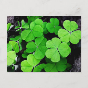 Lycklig St. Patricks dag..tur på iriska Helg Vykort