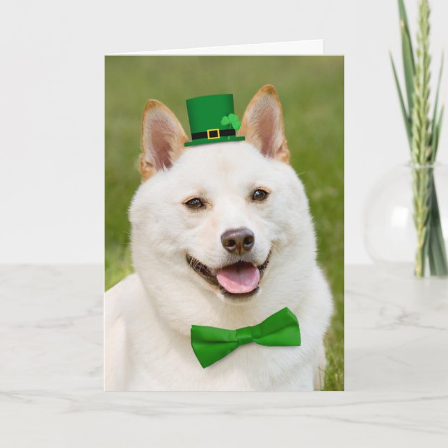 Lycklig St patrick's day Alla Shiba Inu Hund Helgkort (Framsida)