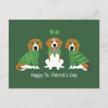 Lycklig St patricks day Beagle Hundar