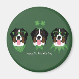 Lycklig St patricks day Bernese Mountain Hundar Magnet