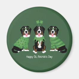 Lycklig St patricks day Bernese Mountain Hundar Magnet