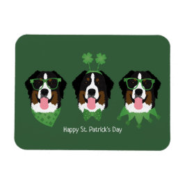 Lycklig St patricks day Bernese Mountain Hundar Magnet