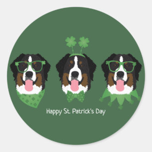 Lycklig St patricks day Bernese Mountain Hundar Runt Klistermärke