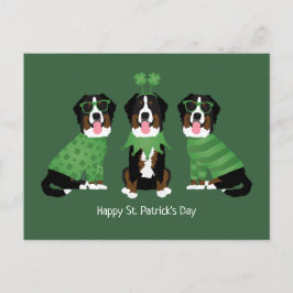 Lycklig St patricks day Bernese Mountain Hundar Vykort