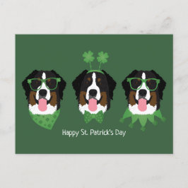 Lycklig St patricks day Bernese Mountain Hundar Vykort