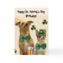 Lycklig St. Patrick's Day Birthday Chihuahua hunda