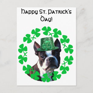 Lycklig St. Patricks Day Boston Terrier Vykort