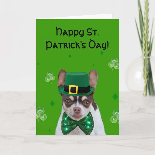 Lycklig St. Patrick's Day Chihuahua-hälsningskort Kort (Framsida)