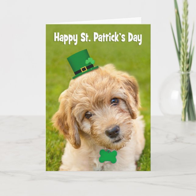 Lycklig St. Patrick's Day Cute Labradoodle Dog in Helgkort (Framsida)