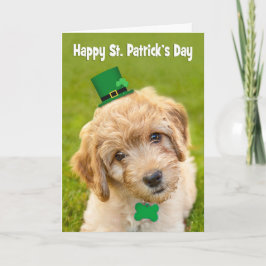 Lycklig St. Patrick's Day Cute Labradoodle Dog in Helgkort