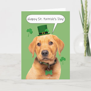 Lycklig St patrick's day Cute Labrador Puppy Helgkort