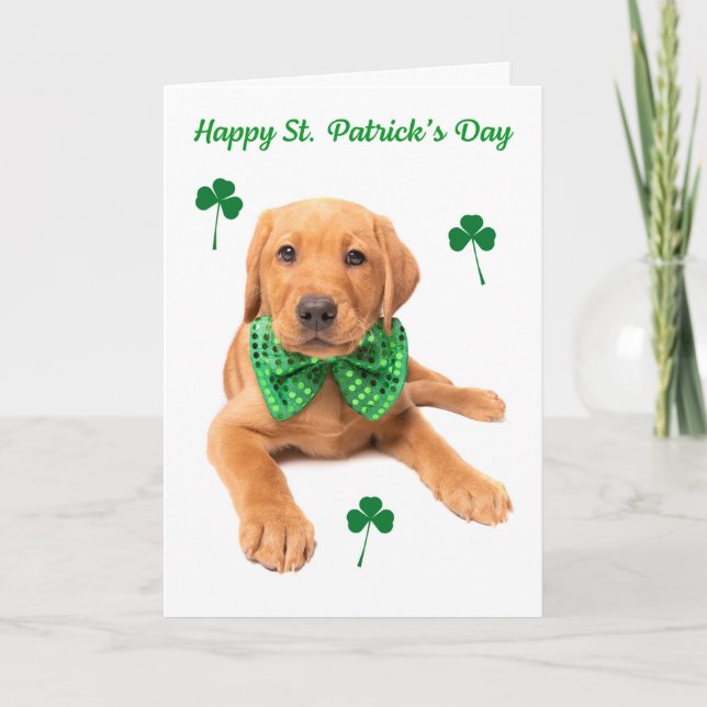 Lycklig St. Patrick's Day Cute Red Fox Lab Puppy Helgkort (Framsida)