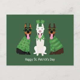 Lycklig St patricks day Dobermann Hundar Vykort